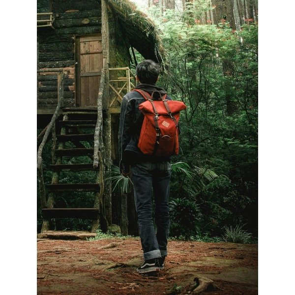 Rhoncus aenean velelit scelerisque mauris